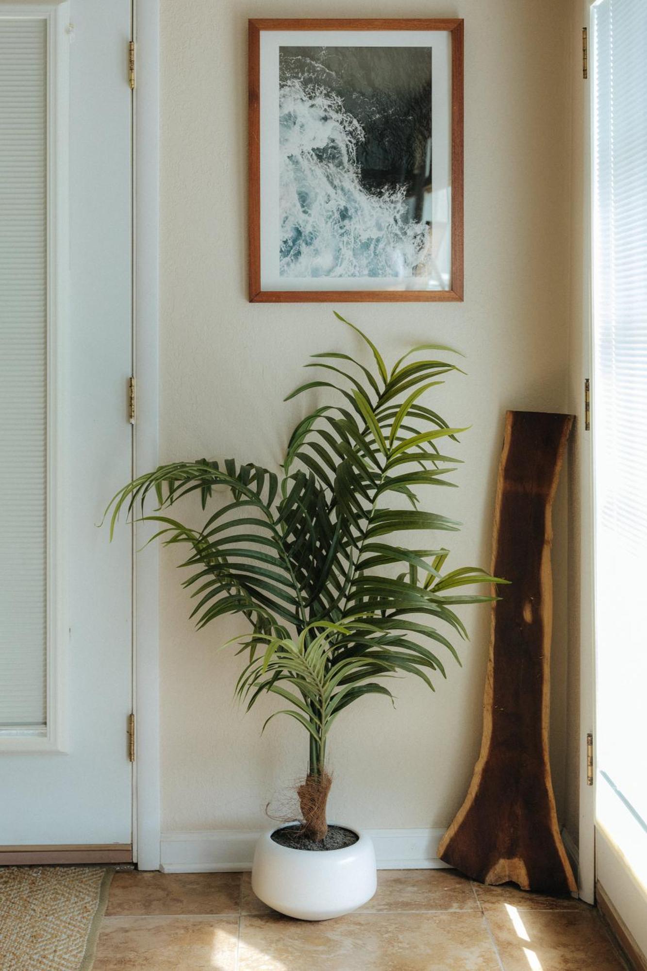 凯路亚-科纳The Ohia At The Koi House公寓 外观 照片